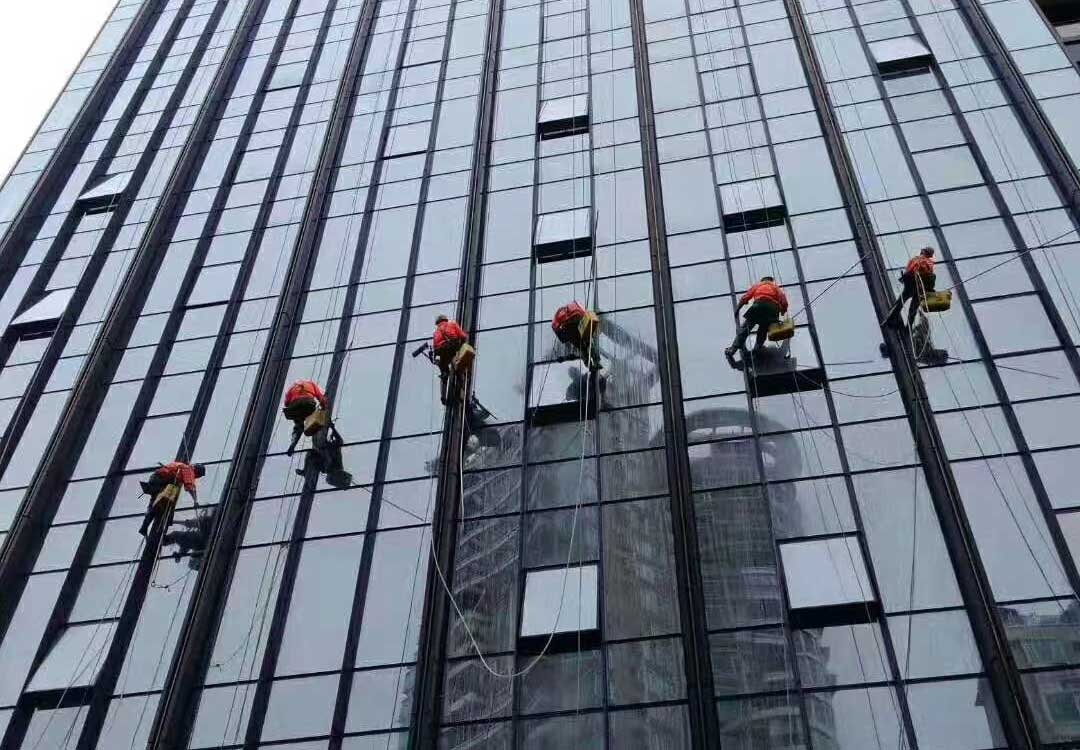 外墙清洗公司能否处理石材外墙的苔藓和霉斑？—海口外墙清洗公司